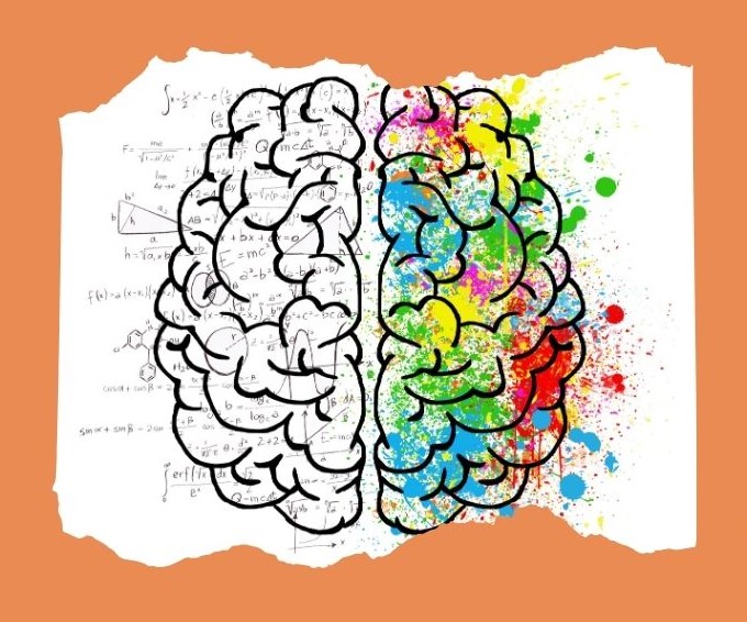 Left and right side of the human brain: choosing the coaching relationship with humans or with artificial intelligence