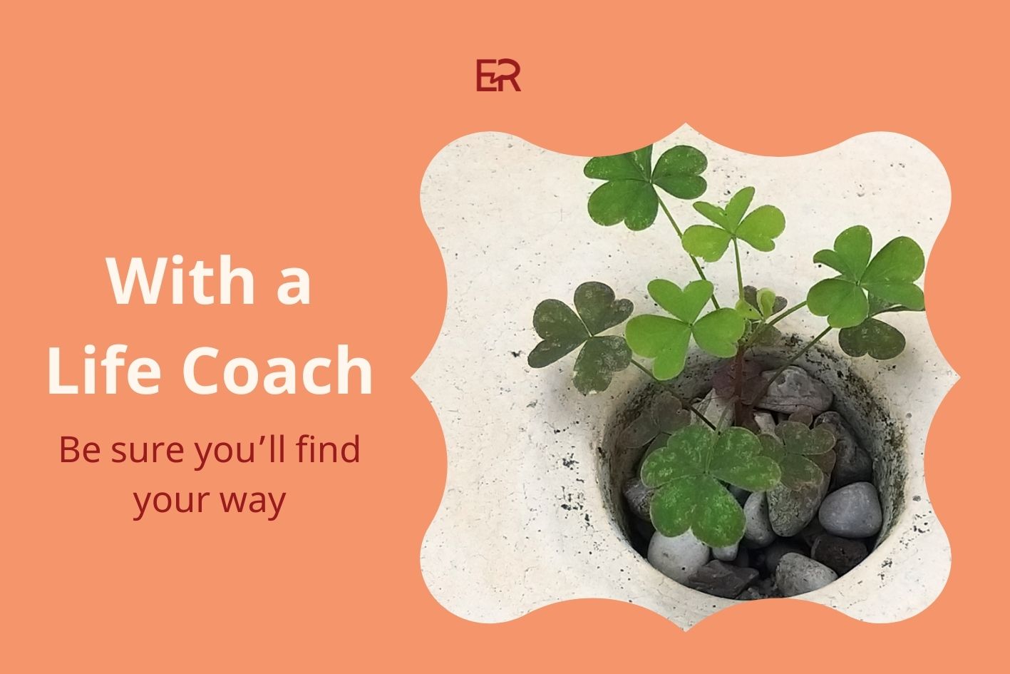 clover emerging from stones as a person's potential emerges with the help of the life coach