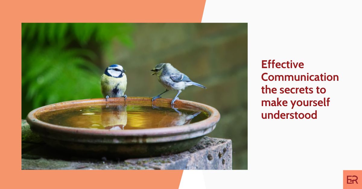 Two birds on a plate with water talking to each other